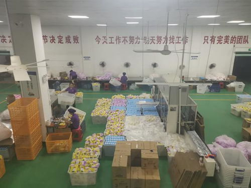 探訪福建泉州衛(wèi)生產(chǎn)業(yè) 高端轉(zhuǎn)型與冒牌產(chǎn)品并存的困境