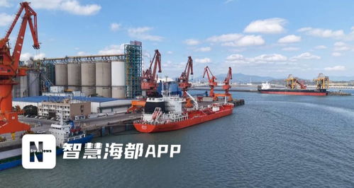 福建糧油新突破 首批6000噸大豆油成功出口，倉儲(chǔ)服務(wù)護(hù)航國際市場首航